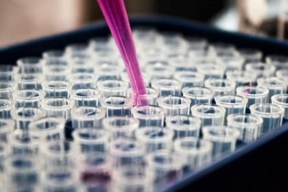 louis reed pwckf7l4 no unsplash