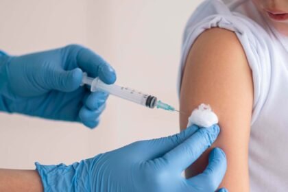 vacina dengue piloto